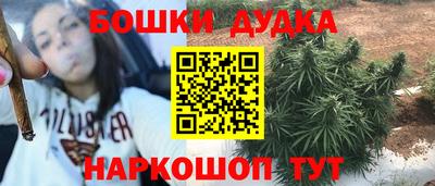 Альфа ПВП Кандалакша