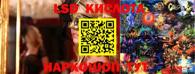 дживик Камышлов