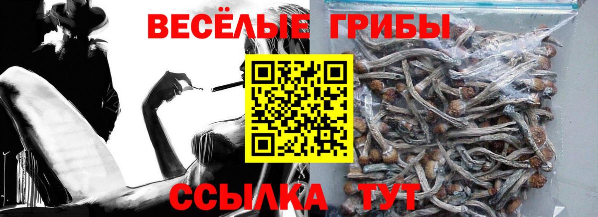 Псилоцибиновые грибы GOLDEN TEACHER  Псилоцибиновые грибы GOLDEN TEACHER  Вход с VPN  цена наркотик  Вятские Поляны 