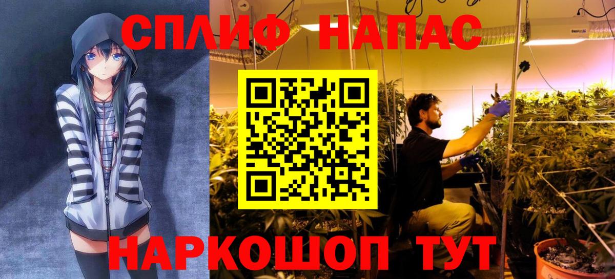Вятские Поляны  Бошки марихуана тримм  Марихуана MAZAR  Вход с VPN 